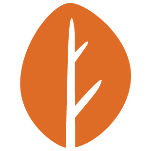 buzzmyplay.com favicon